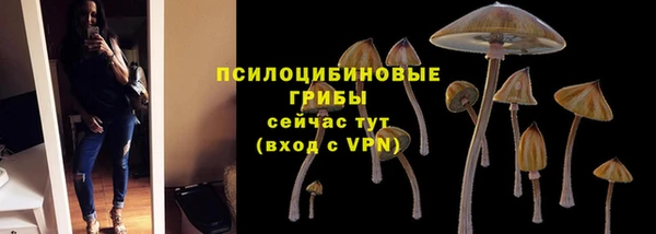 марки lsd Бородино