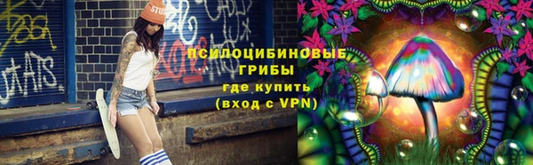 марки lsd Бородино